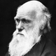 Illustration for article titled How the pseudoscience of Social Darwinism nearly destroyed humanity